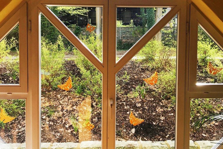 FensterRezeptionElternhaus