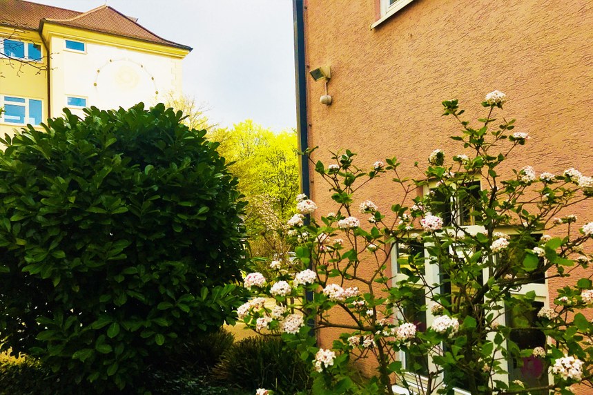 HausSonneBusch