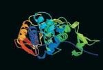 Methyltransferase