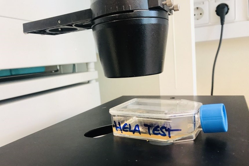 Hela test