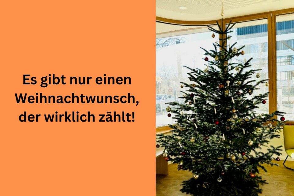 foerderverein-krebkranke-kinder-freiburg-weihnachten-2023
