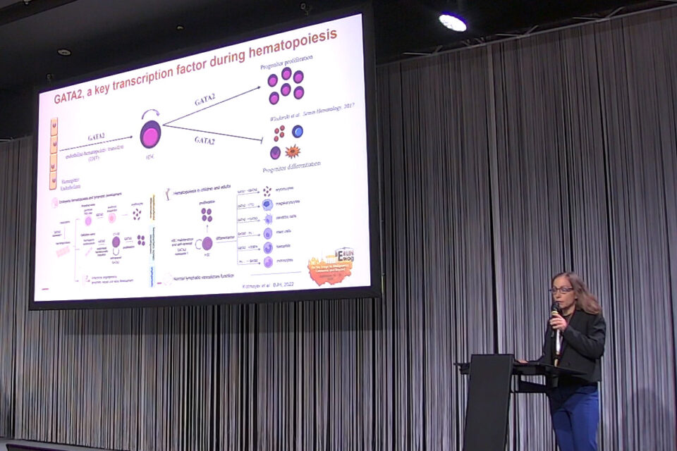 foerderverein-krebskranke-kinder-freiburg-ewog-berlin-2025-5