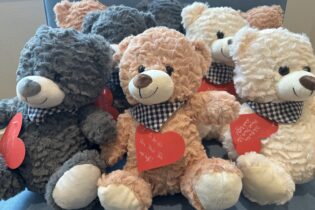 foerderverein-krebs-kinder-freiburg-2025-bär