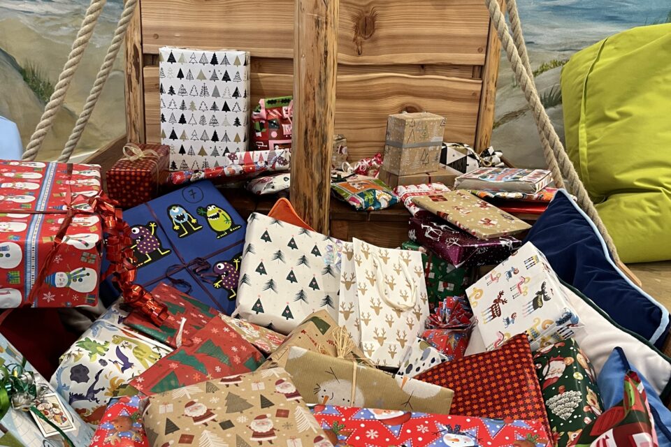 foerderverein-krebs-kinder-freiburg-2025-thermofisher-2