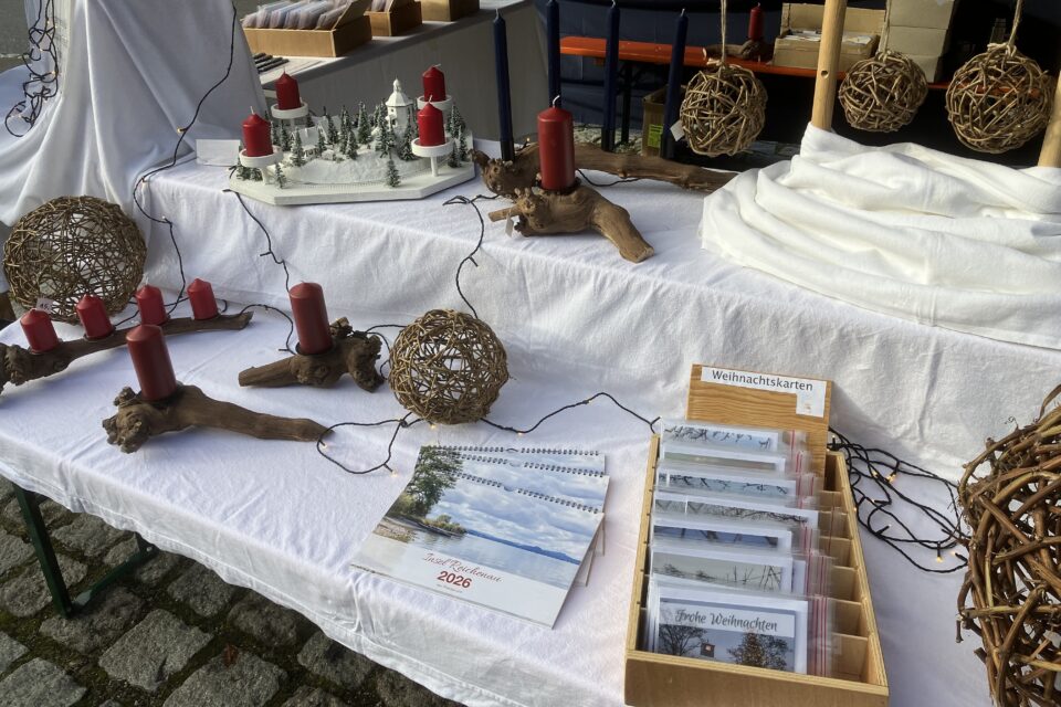 foerderverein-krebs-kinder-freiburg-2026-reichenau-1