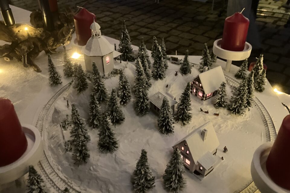 foerderverein-krebs-kinder-freiburg-2026-reichenau-2