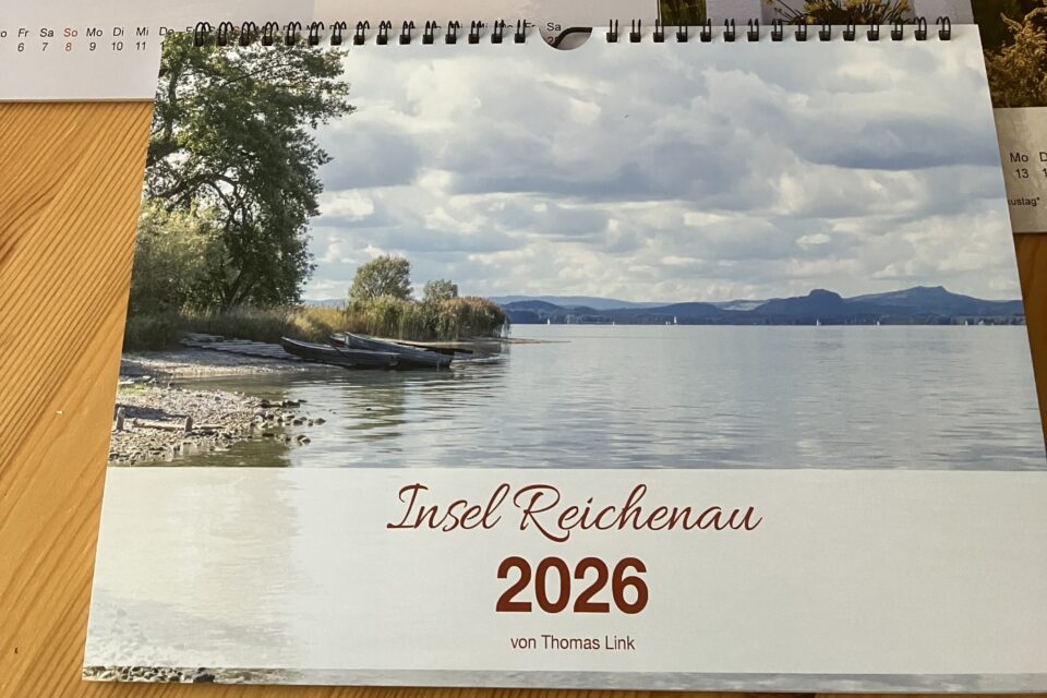 foerderverein-krebs-kinder-freiburg-2026-reichenau-3