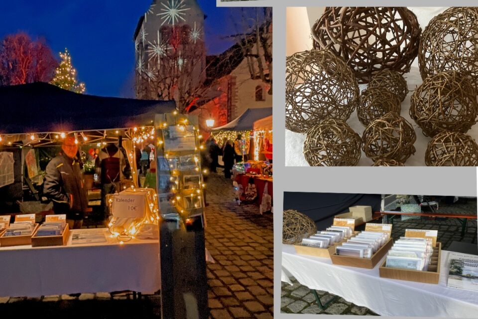 foerderverein-krebs-kinder-freiburg-2026-reichenau-4