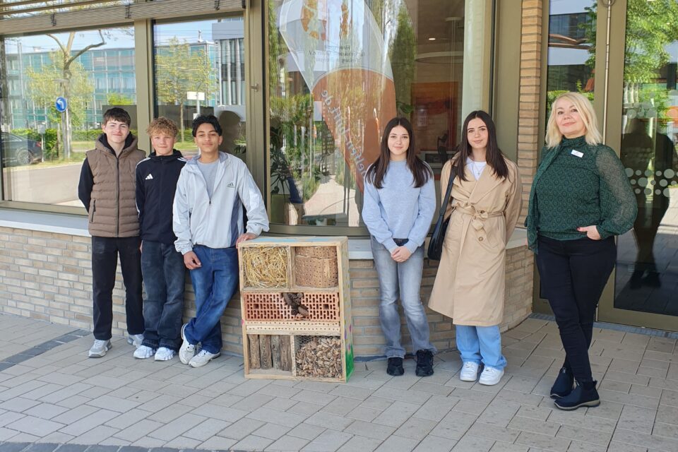 foerderverein-krebs-kinder-freiburg-2026-insekten-1