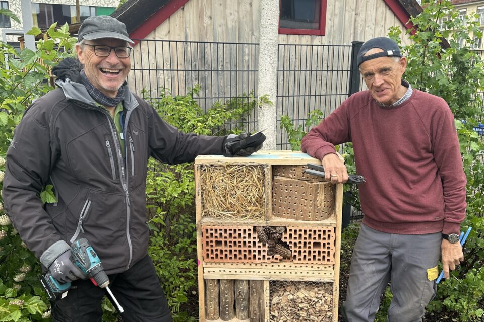 foerderverein-krebs-kinder-freiburg-2026-insekten-3