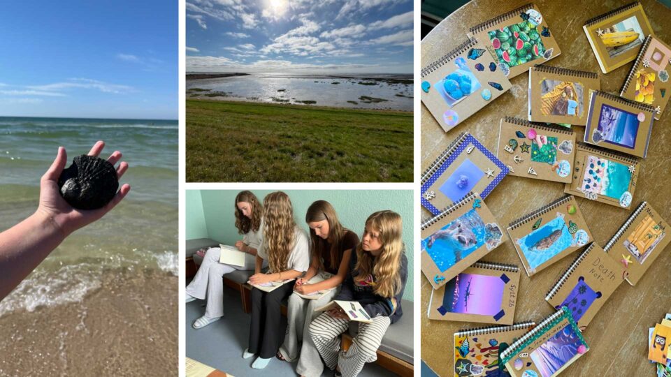 foerderverein-krebskranke-kinder-freiburg-sylt-Collage3
